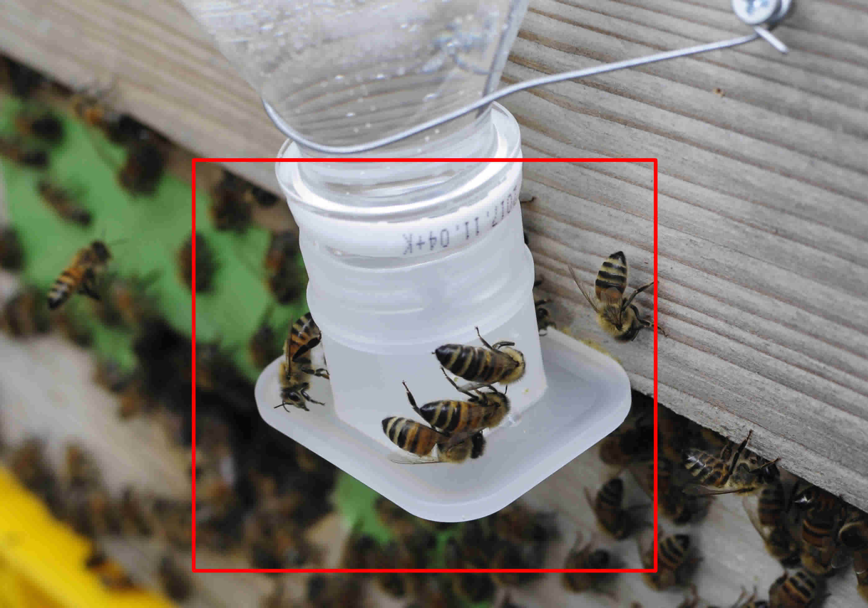 COLORBIRD 養蜂 器具 ハイブツール ステンレス 製 多機能 スクレーパー 蜜蜂 ミツバチ 巣箱 多目的 養蜂用品 養蜂器具 みつば  lt0puorbTT, DIY、工具 - aucklandglaziers.co.nz
