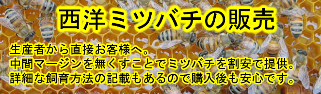 西洋ミツバチや交尾済み女王蜂を販売しています。